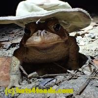 /home//u458753944/public_html/sourcegallery////////////////////////////////////////////////////////////////////////////////Best/PA060123.JPG