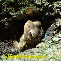/home//u458753944/public_html/sourcegallery///////////////////////////////////////////////////////////////////////////Best/PA060108.JPG
