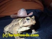 /home//u458753944/public_html/sourcegallery////////////////////////////////////////////////////////////////////////Toads/P10/PA100094.JPG