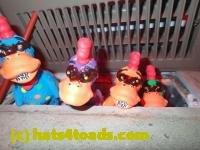 /home//u458753944/public_html/sourcegallery///////////////////////////////////////////////////////////////////Chickens/Kitchen/PB070191.JPG