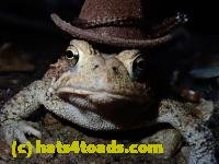/home//u458753944/public_html/sourcegallery/////////////////////////////////////////////////////Best/P8030999.JPG
