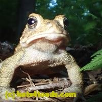 /home//u458753944/public_html/sourcegallery////////////////////////////Best/P6150156.JPG
