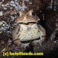 /home//u458753944/public_html/sourcegallery////////////////////////////Best/P9160775.JPG