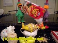/home//u458753944/public_html/sourcegallery////////////////////////Chickens/Kitchen/DSCN1705.JPG