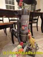 /home//u458753944/public_html/sourcegallery////////////////////Chickens/Kitchen/P2180124.JPG