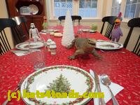 /home//u458753944/public_html/sourcegallery/////////////Chickens/Kitchen/PC250729.JPG