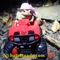 /home//u458753944/public_html/sourcegallery////////////Toads/P06/PA070143.JPG