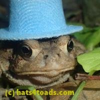 /home//u458753944/public_html/sourcegallery/////////Toads/P52/P5270589.JPG