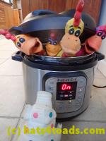 /home//u458753944/public_html/sourcegallery////////Chickens/Kitchen/P1030748.JPG