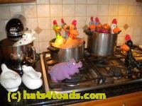 /home//u458753944/public_html/sourcegallery///////Chickens/Kitchen/DSCN1816.JPG