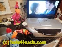 /home//u458753944/public_html/sourcegallery///////Chickens/Kitchen/P1070349.JPG