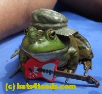 /home//u458753944/public_html/sourcegallery//////Best/frog.jpg