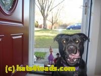 /home//u458753944/public_html/sourcegallery/////Chickens/Cookie/P1100722.JPG