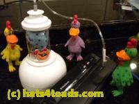 /home//u458753944/public_html/sourcegallery/////Chickens/Kitchen/DSCN1714.JPG