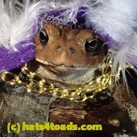 /home//u458753944/public_html/sourcegallery/////Toads/P60/P6050680.JPG
