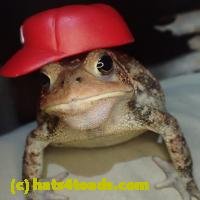 /home//u458753944/public_html/sourcegallery/////Toads/PA23/PA230187.JPG