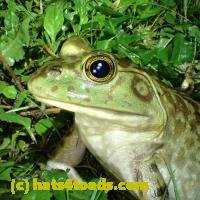 /home//u458753944/public_html/sourcegallery////Best/P6020111.JPG