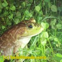/home//u458753944/public_html/sourcegallery////Best/P9110727.JPG