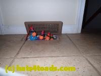 /home//u458753944/public_html/sourcegallery////Chickens/Kitchen/PB070197.JPG