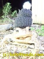 /home//u458753944/public_html/sourcegallery////Toads/P40/P4050366.JPG