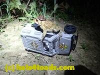 /home//u458753944/public_html/sourcegallery////Toads/P42/P4280749.JPG
