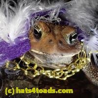 /home//u458753944/public_html/sourcegallery///Toads/P60/P6050682.JPG