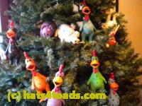 /home//u458753944/public_html/sourcegallery//Chickens/Christmas/DSCN1763_2.jpg