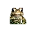 Tiny toad